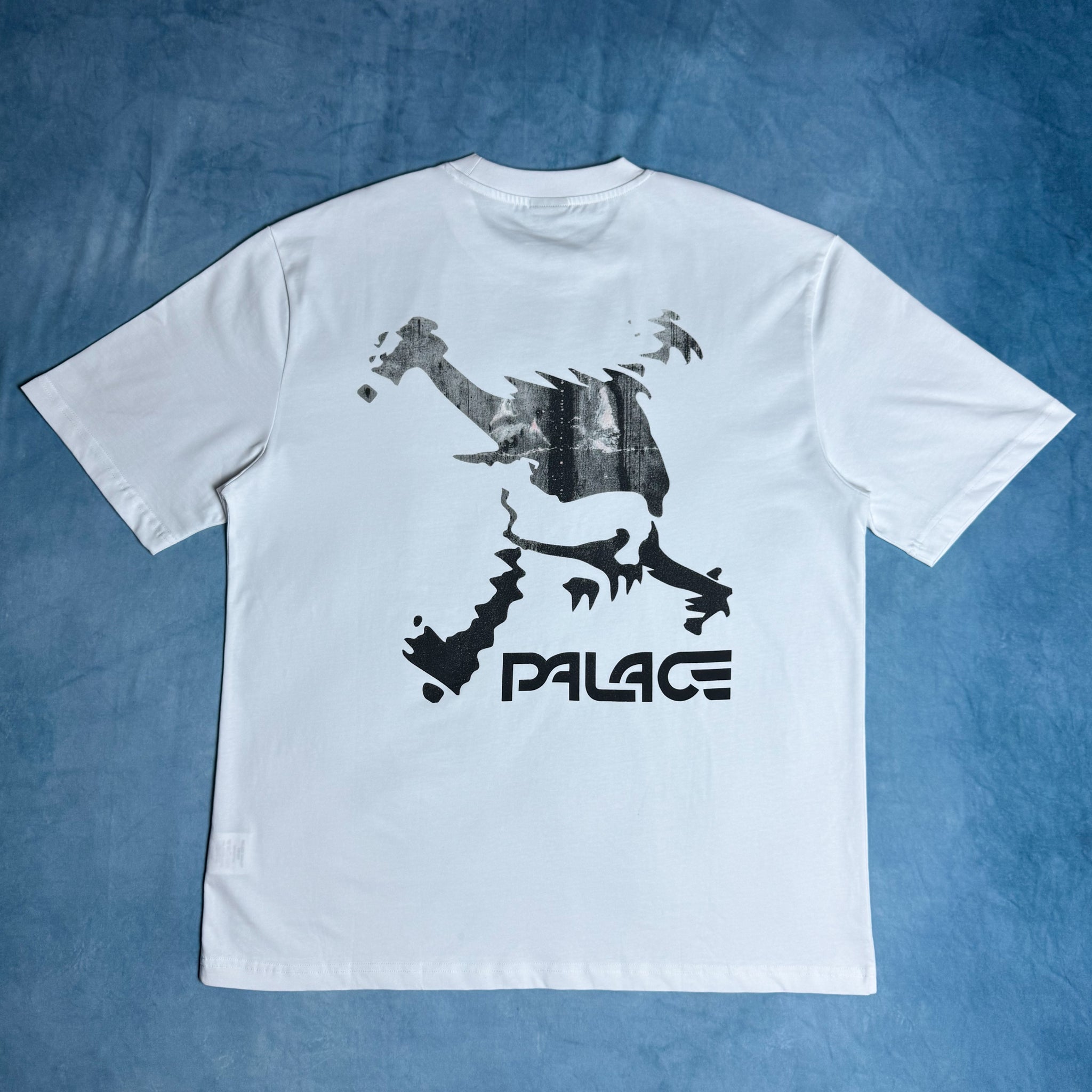 Camiseta Palace x Oakley Skull White